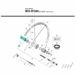 Cône De Moyeu Shimano Y4GW98080 - [x1]